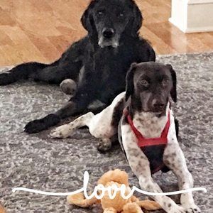 Meet your Posher, William